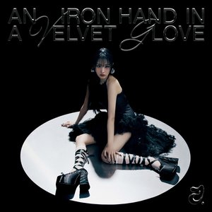 'An Iron Hand In A Velvet Glove'の画像