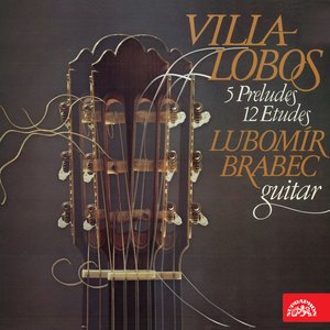 Bild för 'Villa-Lobos: 5 Preludes, 12 Etudes'