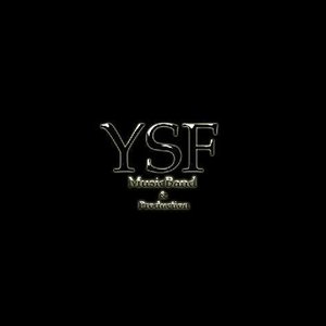 Image for 'YSF'