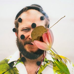 Image for 'Bon Iver'