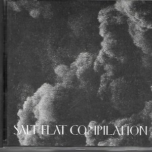 'Salt Flat Compilation'の画像