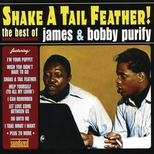 Image for 'Shake A Tail Feather! The Best Of James And Bobby Purify'