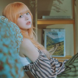 “Lily”的封面