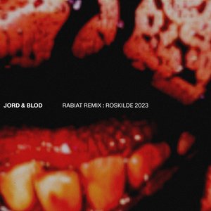 Image for 'Rabiat Remix: Roskilde 2023'