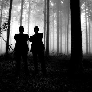 Image pour 'A Forest Mighty Black'