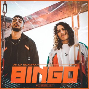 Image for 'Bingo'