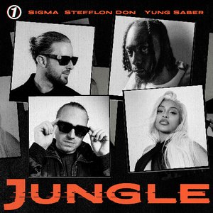 Image for 'Jungle'