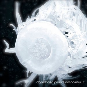 “Somnambulist”的封面