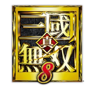 Image for 'DYNASTY WARRIORS 9'