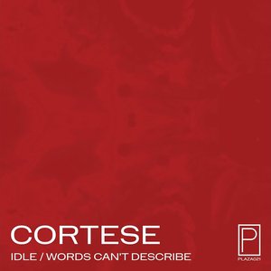 Immagine per 'Idle/Words Can't Describe'