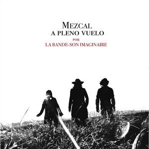 Image for 'Mezcal a pleno vuelo'