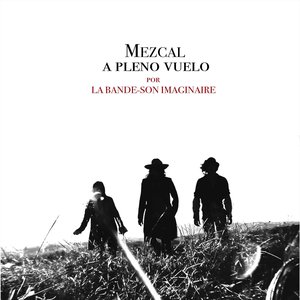 “Mezcal a pleno vuelo”的封面