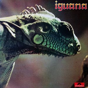 Image for 'Iguana'