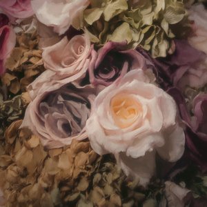“Ceremonia”的封面