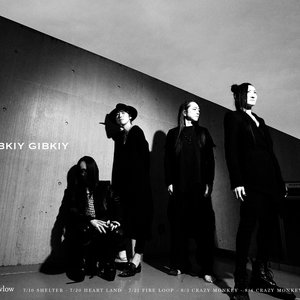 Image for 'gibkiy gibkiy gibkiy'