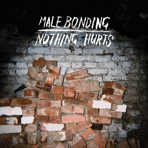 Image for 'Nothing Hurts'