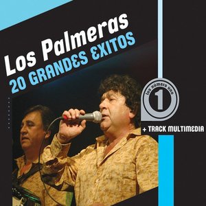 Image for '20 Grandes Exitos'