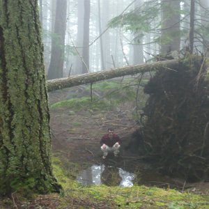 Imagen de 'Mount Eerie'