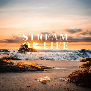 “Stream Of Life”的封面