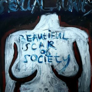 “Beautiful Scar of Society”的封面