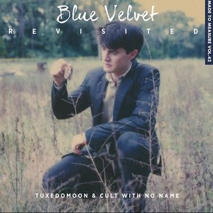 Image for 'Blue Velvet Revisited'