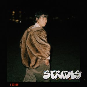 “Strides”的封面