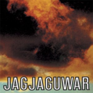 Image for 'Jagjaguwar'