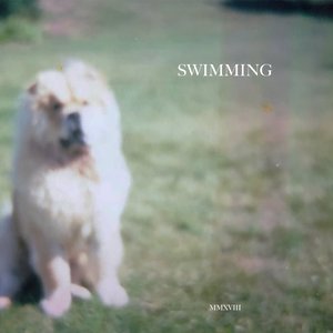 Image pour 'Swimming'