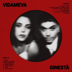 Image for 'Vida Meva'