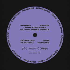 “Sordid Affair (Notre Dame Remix)”的封面