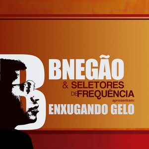 “Enxugando Gelo”的封面