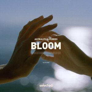 'Bloom'の画像