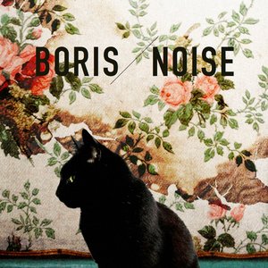 “Noise”的封面
