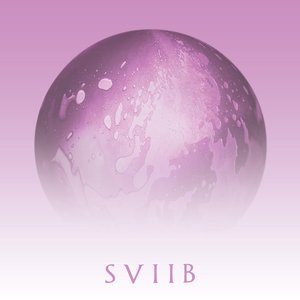 “SVIIB”的封面