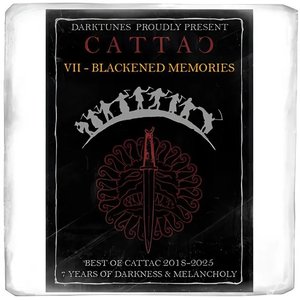 Изображение для 'VII - Blackened Memories'
