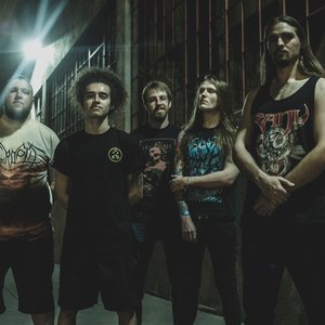 Image for 'Anisoptera'