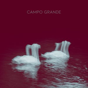 Image for 'Campo Grande'