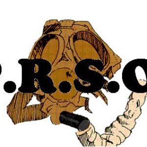 Image for 'P.R.S.O!'