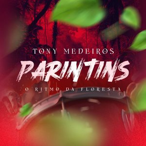 Изображение для 'Parintins, o Ritmo da Floresta'