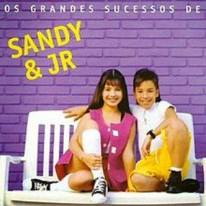 Bild für '20 Grandes Sucessos De Sandy  Junior'