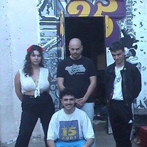 Image for 'sprgrs'