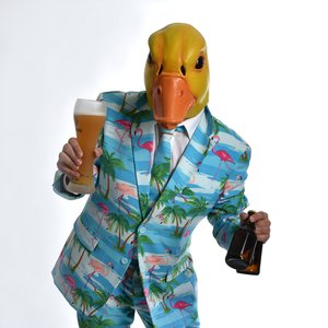 “Ingo ohne Flamingo”的封面