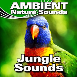 'Jungle Sounds'の画像