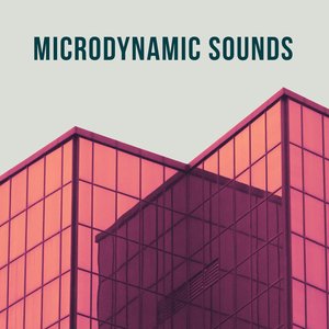 Image for 'Microdynamic Recordings'