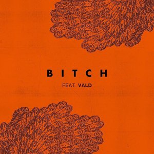 Image for 'Bitch (feat. Vald)'