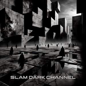 Immagine per 'Dark Channel'