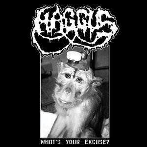 Zdjęcia dla 'What's Your Excuse?'
