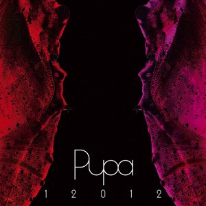 Image for 'Pupa'