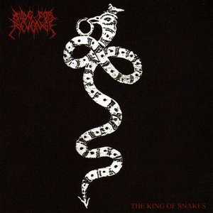 “The King Of Snakes”的封面