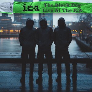 Image for 'Live At The ICA (London 2024)'